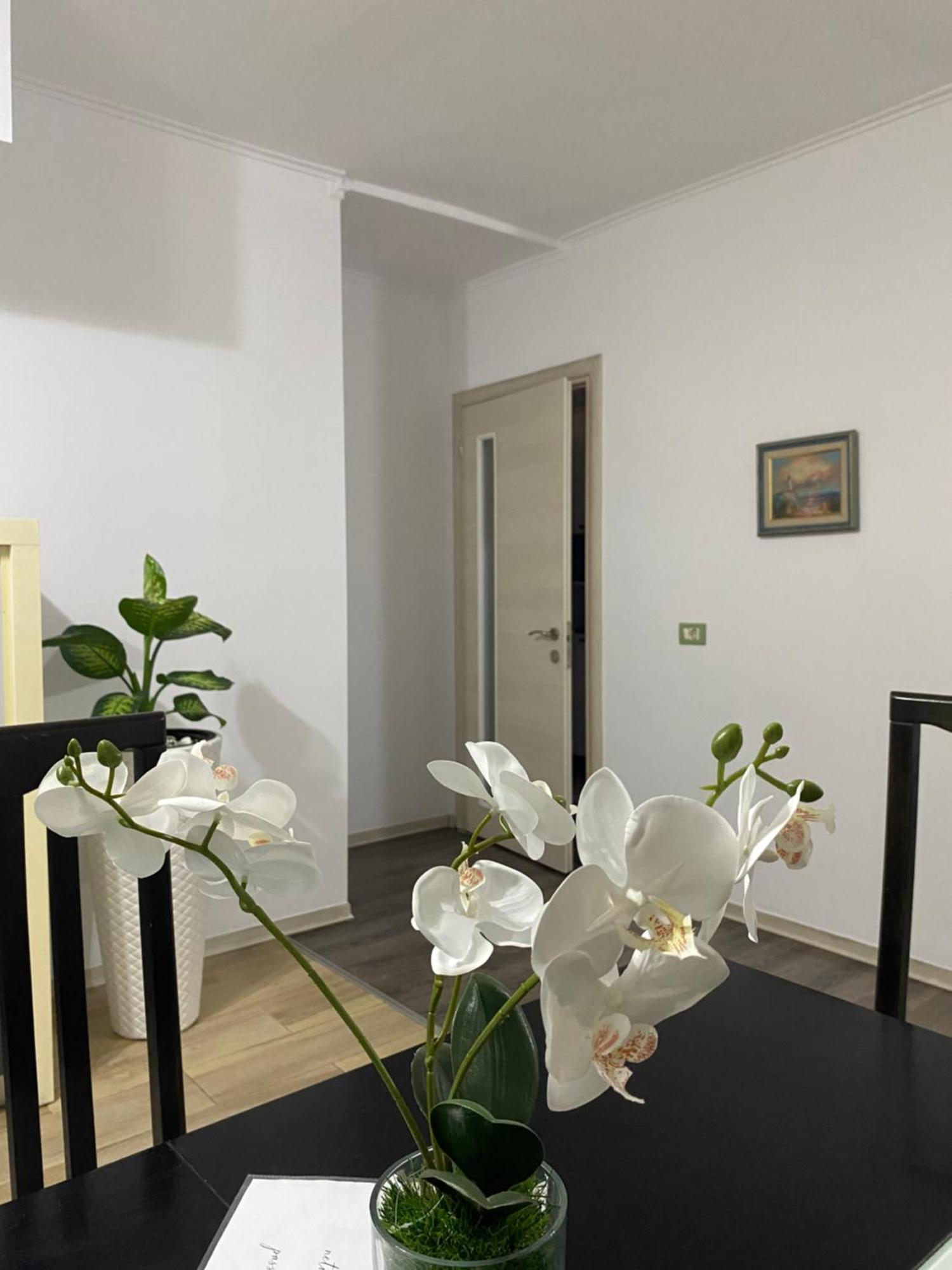 Main Apartment Tirana Eksteriør billede