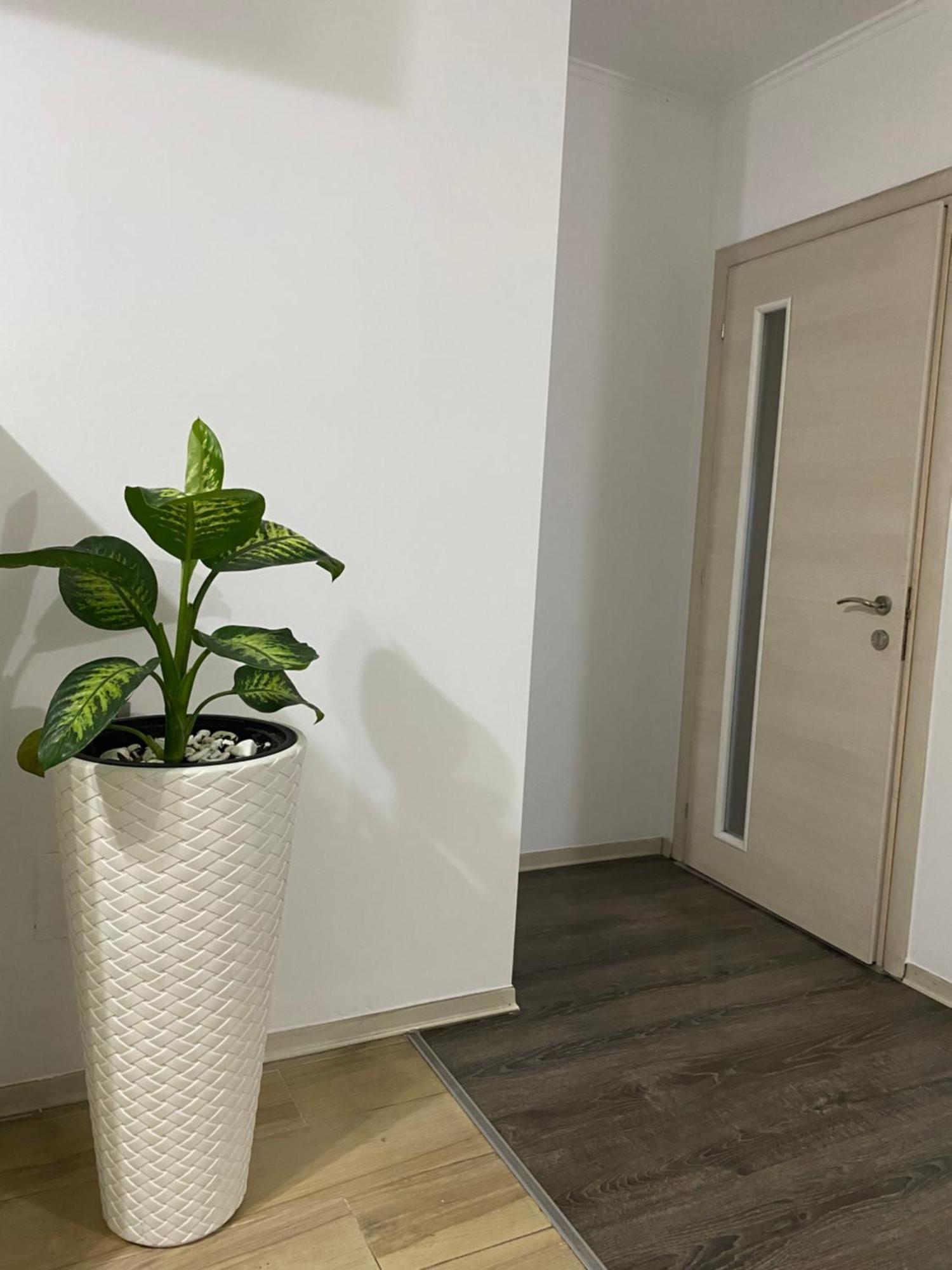 Main Apartment Tirana Eksteriør billede